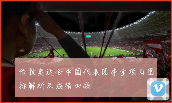 伦敦奥运会中国代表团夺金项目图标解析及成绩回顾