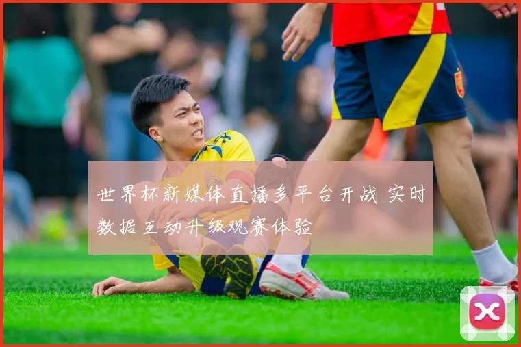 世界杯新媒体直播多平台开战 实时数据互动升级观赛体验